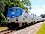 181 - Amtrak Silver Meteor